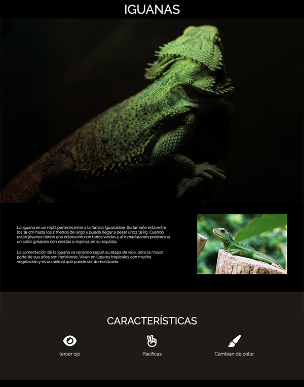 Iguana page